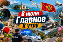 Оперативные новости Черногории сегодня: утренний обзор событий на побережье Будвы