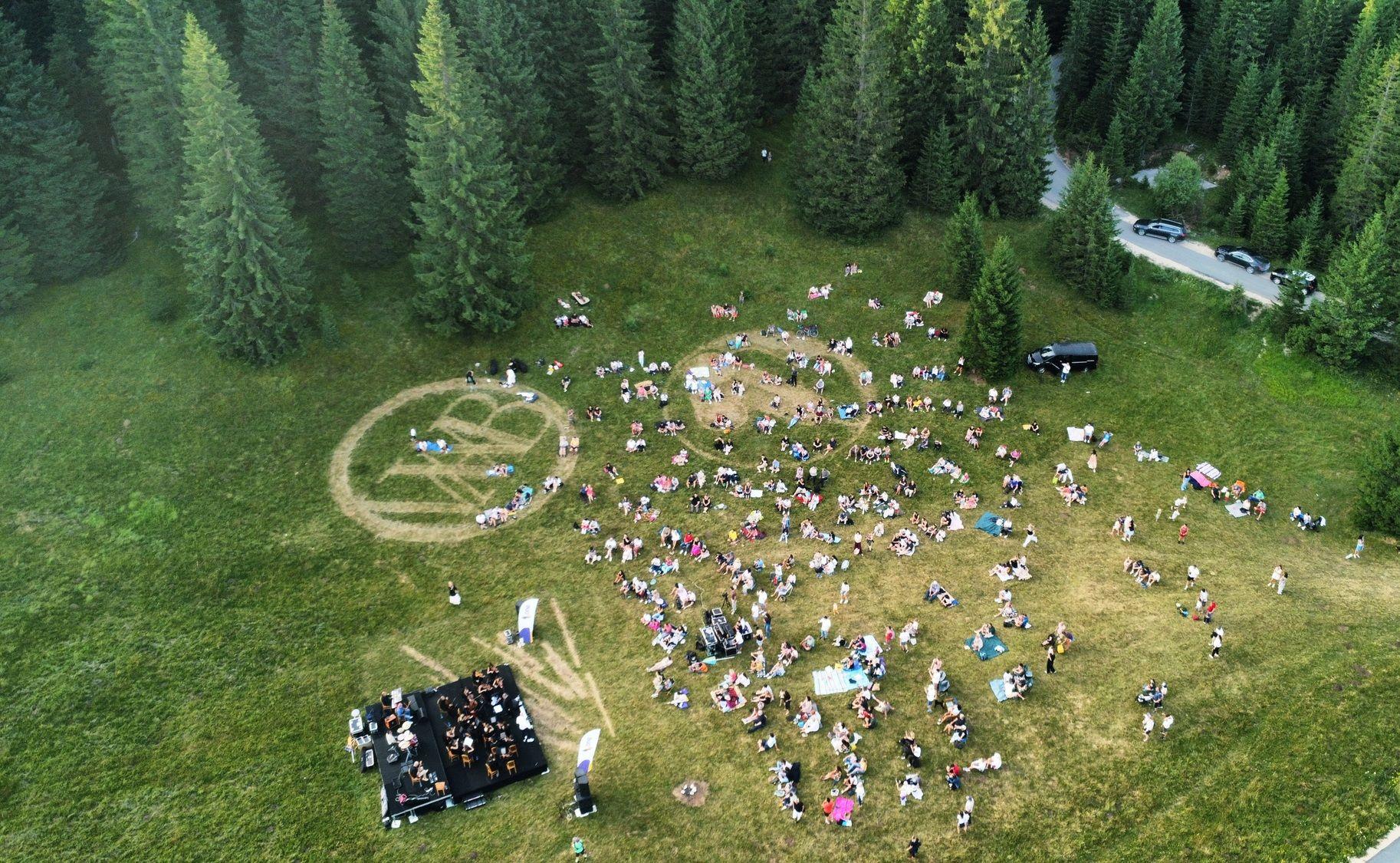Создание травяных пиктограмм Wild Beauty Art художниками
