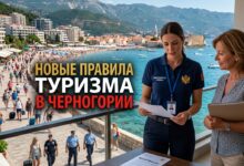 новый закон о туризме в черногории 2026 и заседание правительства