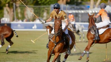Polo in the Port турнир по поло в Porto Montenegro в Тивате