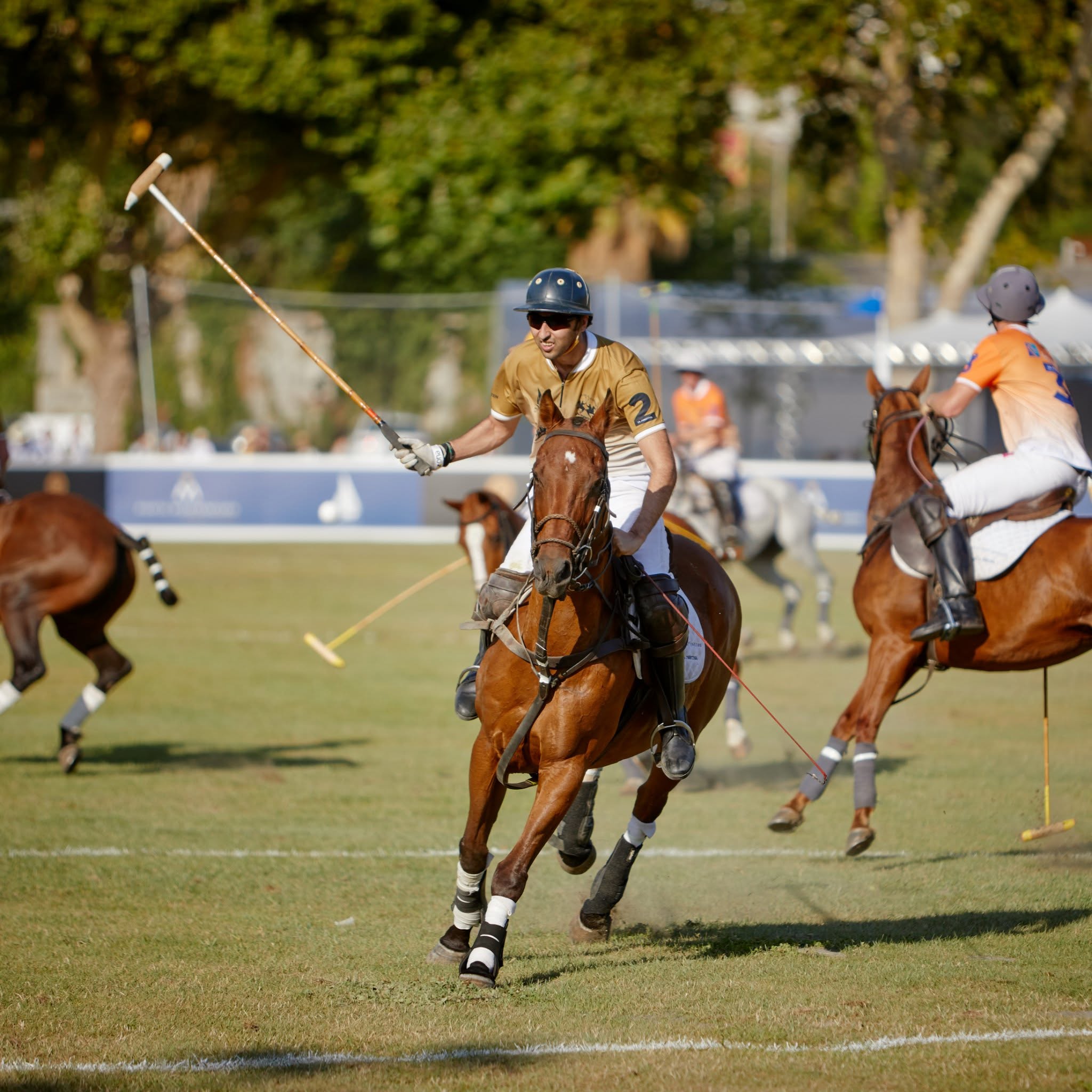 Polo in the Port турнир по поло в Porto Montenegro в Тивате